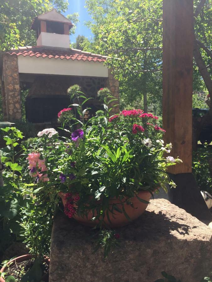 Hotel Casas Rurales La Huerta Salobre  Exteriér fotografie